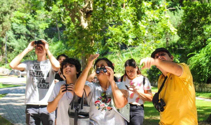 Fotografía y avistaje de aves y mariposas en el Parque de la Biodiversidad