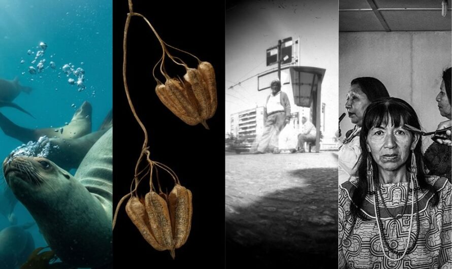 los espacios culturales de Córdoba renuevan su propuesta expositiva